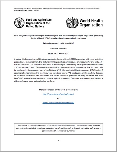 Joint FAO/WHO Expert Meeting on Microbiological Risk Assessment on Shiga toxin-producing Escherichia coli (STEC) associated with meat and dairy products