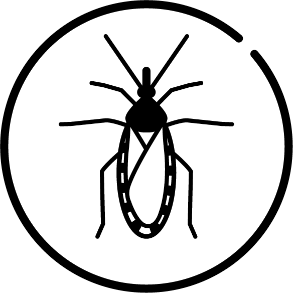 WHO NTD illustration on Chagas diseases