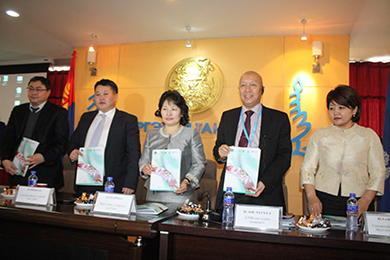 subnational_health_systems3